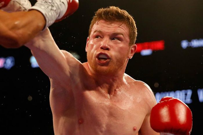 ___5191430___https:______static.pulse.com.gh___webservice___escenic___binary___5191430___2016___6___25___7___caneloalvarez-cropped_gc71tucevvbf16sr5jo60qed1_2