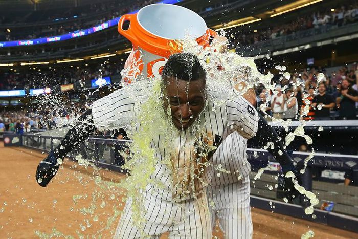 ___5210506___https:______static.pulse.com.gh___webservice___escenic___binary___5210506___2016___6___30___14___didigregorius-cropped_w2vpvd6ug18f1f89z4uwlij5y