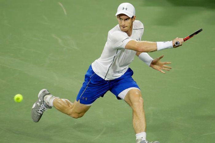 ___5395673___https:______static.pulse.com.gh___webservice___escenic___binary___5395673___2016___8___20___12___andymurray-cropped_1vo6yqqztw6ja1eu4nt6h31f99_2