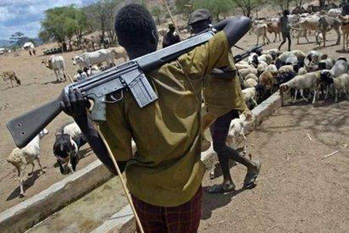 Armed Fulani herdsmen