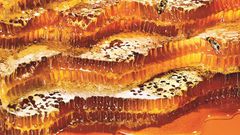 Delicious new ways to eat honey.