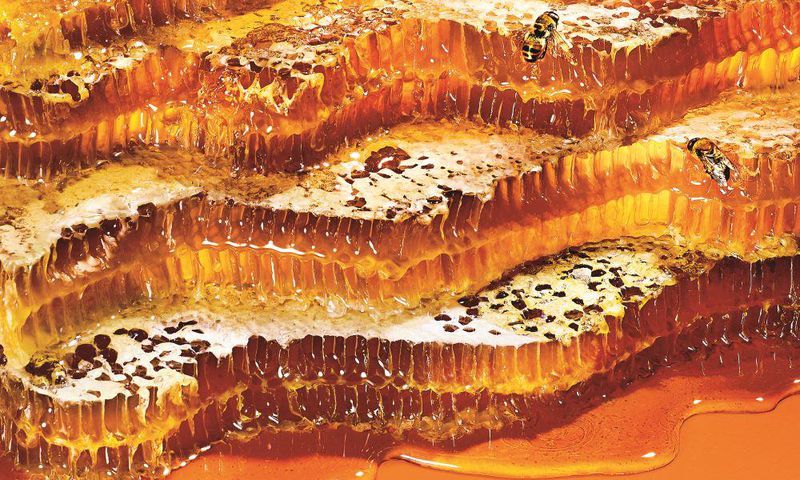 Delicious new ways to eat honey.