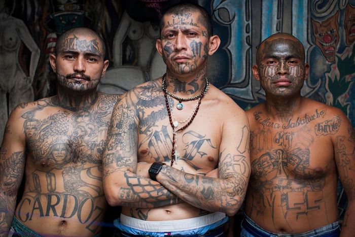 Members of MS-13