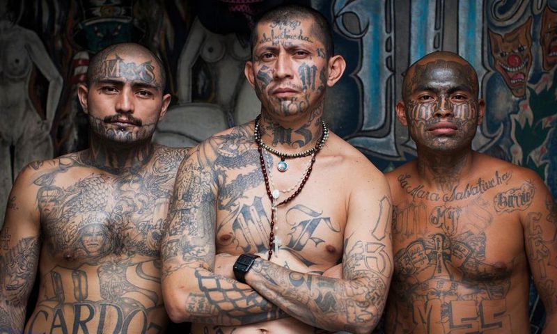 Members of MS-13