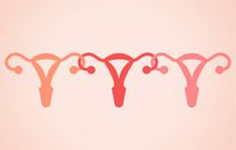 Do women really sync their period cycles when they spend a lot of time together?