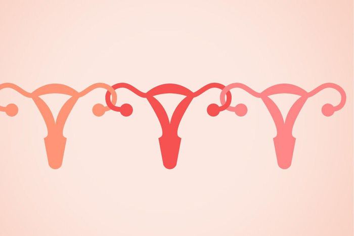 Do women really sync their period cycles when they spend a lot of time together?