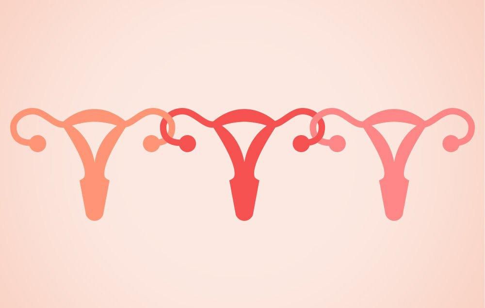Do women really sync their period cycles when they spend a lot of time together?