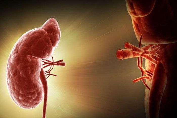 ___5471485___https:______static.pulse.com.gh___webservice___escenic___binary___5471485___2016___9___8___19___1_2232