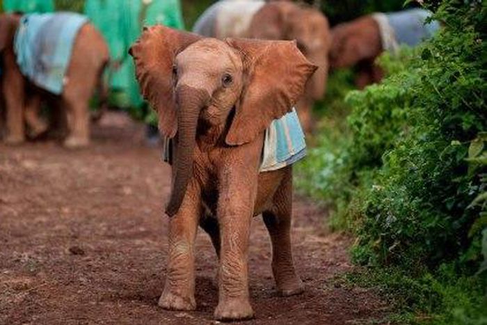 ___5286733___https:______static.pulse.com.gh___webservice___escenic___binary___5286733___2016___7___20___16___credit+expedia