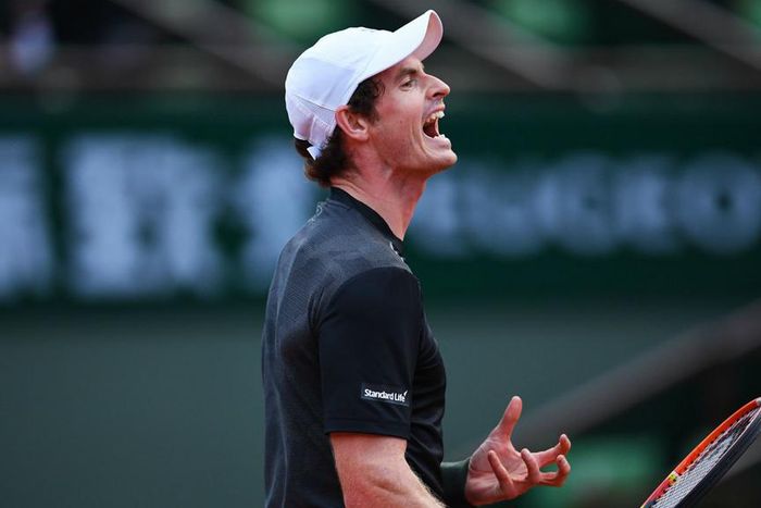 ___5068414___https:______static.pulse.com.gh___webservice___escenic___binary___5068414___2016___5___24___3___andymurraycropped_9bwf3g8hzaev1ccbj4evyzcdi_2