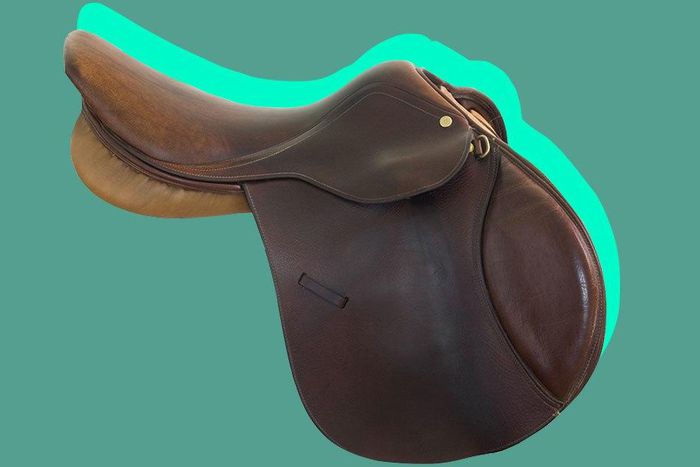 ___5977339___https:______static.pulse.com.gh___webservice___escenic___binary___5977339___2016___12___31___20___saddle-lets-kids-ride-parents