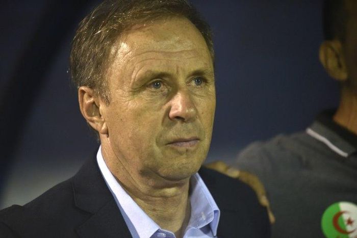 Algeria's national football team head coach Milovan Rajevac during the Fifa World Cup 2018 Africa qualifying football match between Algeria and Cameroon at the Mustapha Tchaker Stadium in Blida on October 9, 2016