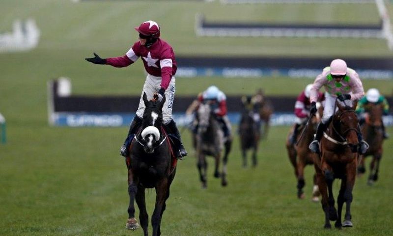 William Mullins trained Djakadam (R) has been runner-up twice in the Cheltenham Gold Cup