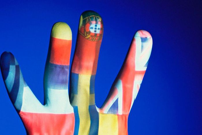 Pulse Blogger, Leila Aridi Afas writes on how to manage global crisis.