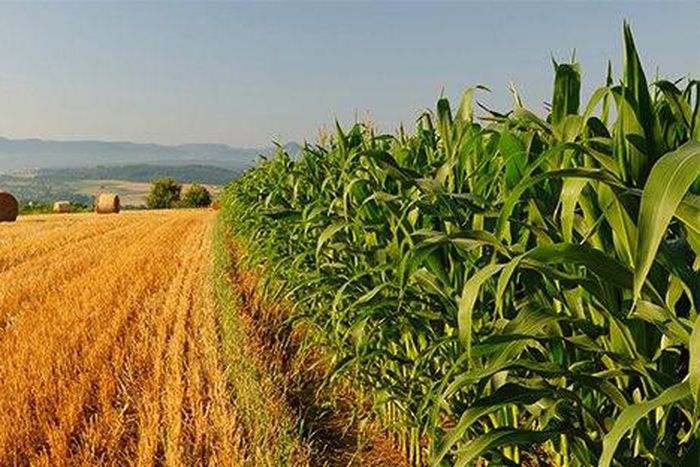 ___6510657___https:______static.pulse.com.gh___webservice___escenic___binary___6510657___2017___4___10___19___file6ug0gn3hs51y80e44tg