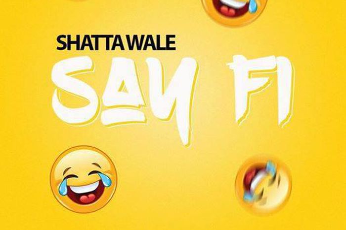 Shatta Wale - Say Fi (Yaa Pono diss)