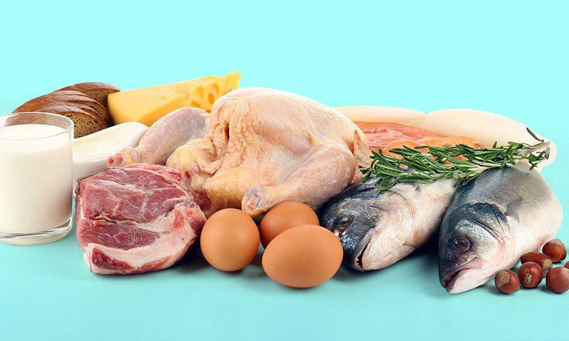 Protein diets.