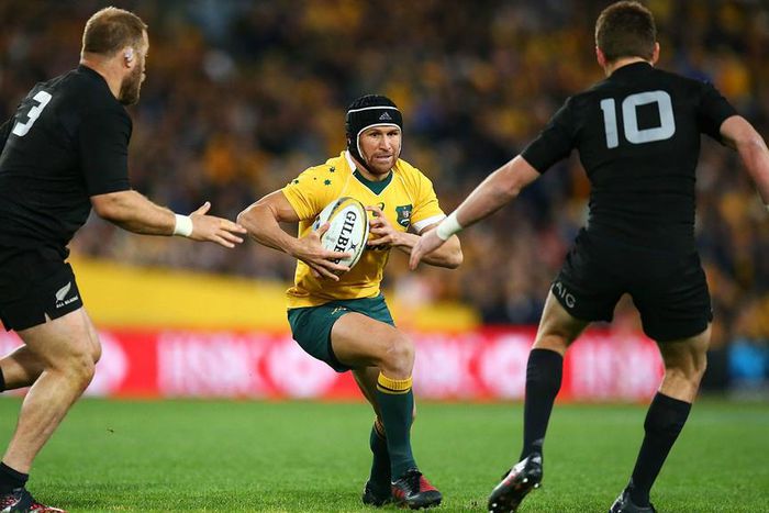 ___5402439___https:______static.pulse.com.gh___webservice___escenic___binary___5402439___2016___8___21___17___matt-giteau_1fon8zmiktl9m1rc55zzuchuaz_2