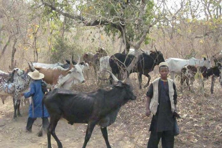 ___5275110___https:______static.pulse.com.gh___webservice___escenic___binary___5275110___2016___7___17___21___unnamed