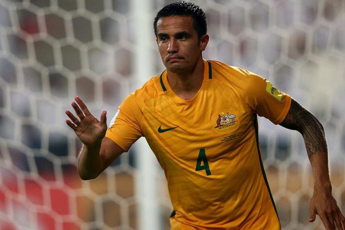 ___5583246___https:______static.pulse.com.gh___webservice___escenic___binary___5583246___2016___10___9___12___timcahill-cropped_y10c0ddb6l7q1lk43lyaknq0m_2