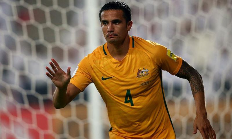 ___5583246___https:______static.pulse.com.gh___webservice___escenic___binary___5583246___2016___10___9___12___timcahill-cropped_y10c0ddb6l7q1lk43lyaknq0m_2