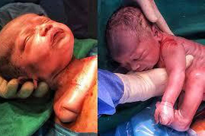 ___6610296___https:______static.pulse.com.gh___webservice___escenic___binary___6610296___2017___5___1___22___url