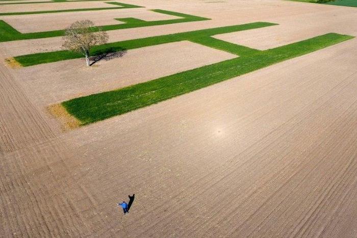 The letters in Jacques Fortin's field are 100 metres long