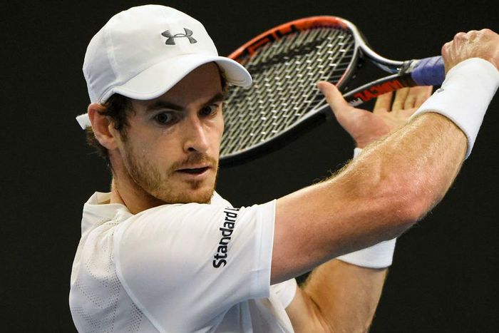 ___5566420___https:______static.pulse.com.gh___webservice___escenic___binary___5566420___2016___10___4___19___andymurray-cropped_w0p4jwcbeiir1shkdgq8y531s