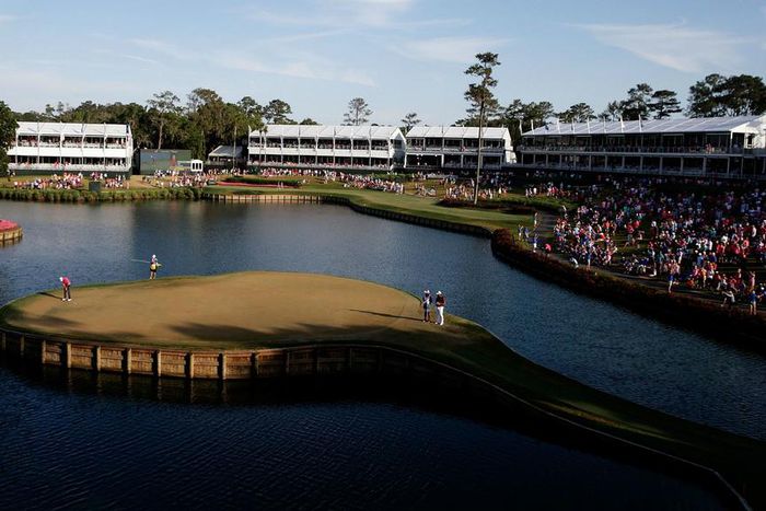 ___5517431___https:______static.pulse.com.gh___webservice___escenic___binary___5517431___2016___9___22___10___sawgrass-tpc-usnews-getty-ftr_143q760pbrw7d19gk0u3ehcdcy_2