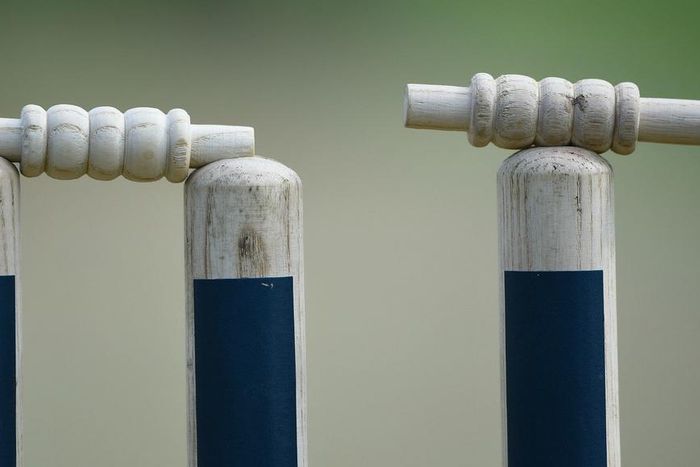 ___4636416___https:______static.pulse.com.gh___webservice___escenic___binary___4636416___2016___7___1___15___cricketstumpscropped_17q224x73taln1idz2dqafuncw_2