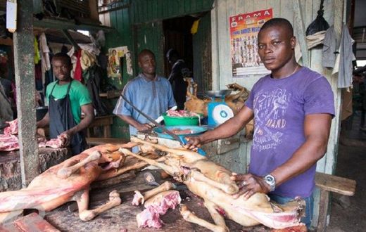 An Abattoir in Ghana