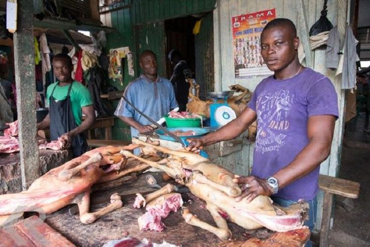 An Abattoir in Ghana