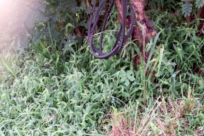 ___6361120___https:______static.pulse.com.gh___webservice___escenic___binary___6361120___2017___3___13___11___suicide1