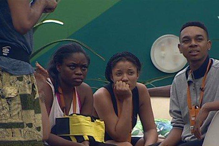 Big Brother Naija contestants in the house