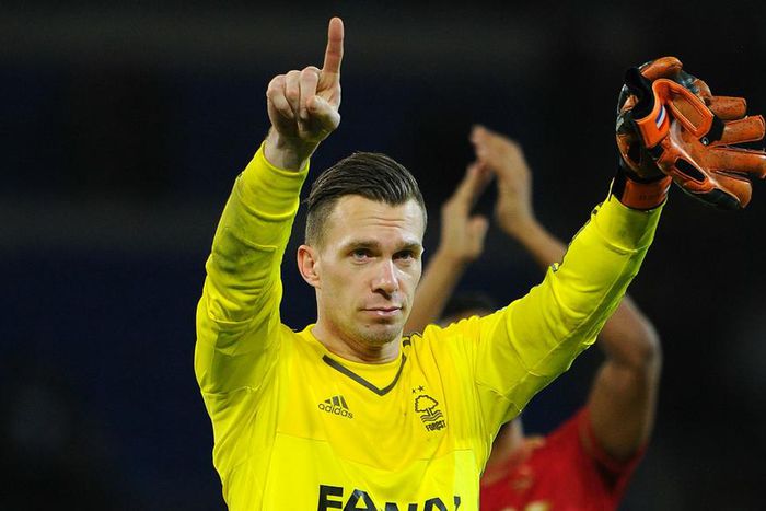 ___5377591___https:______static.pulse.com.gh___webservice___escenic___binary___5377591___2016___8___14___17___dorus-de-vries-cropped_1xyc09ip04o091cms44g9uiaba