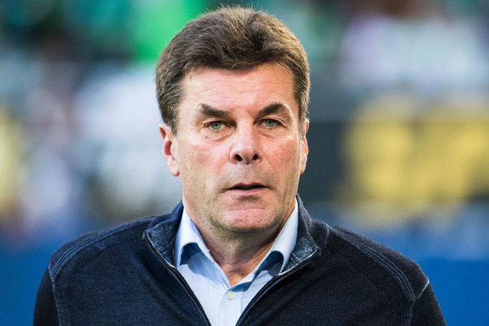 ___5620122___https:______static.pulse.com.gh___webservice___escenic___binary___5620122___2016___10___18___2___dieter-hecking-cropped_1tcvkzu6wfl2p1vv0eeerfkd4s