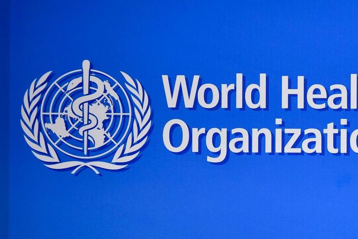 ___5085234___https:______static.pulse.com.gh___webservice___escenic___binary___5085234___2016___5___28___16___world-health-organisation-logo-cropped_npev617n11h81ngdb7237x2ij