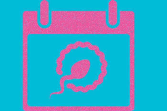 ___5979548___https:______static.pulse.com.gh___webservice___escenic___binary___5979548___2017___1___1___22___most-fertile-day-of-the-year