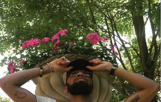 Phyno
