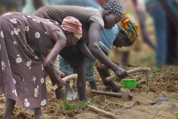 Adesina also emphasised the importance of financing women and de-risking the financial system to make advancing to loan to women comfortable.