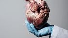 The heart.