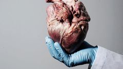 The heart.