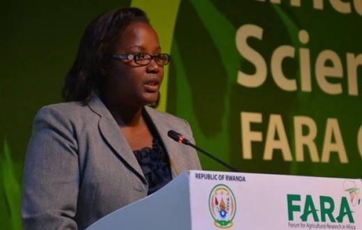 ___5176611___https:______static.pulse.com.gh___webservice___escenic___binary___5176611___2016___6___21___17___agric-scientists
