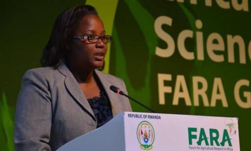 ___5176611___https:______static.pulse.com.gh___webservice___escenic___binary___5176611___2016___6___21___17___agric-scientists