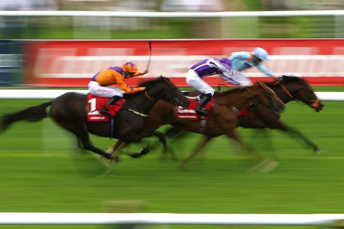 ___5477667___https:______static.pulse.com.gh___webservice___escenic___binary___5477667___2016___9___10___20___harbourlawcropped_1q776wz18vgva1a5066ngzdaz6