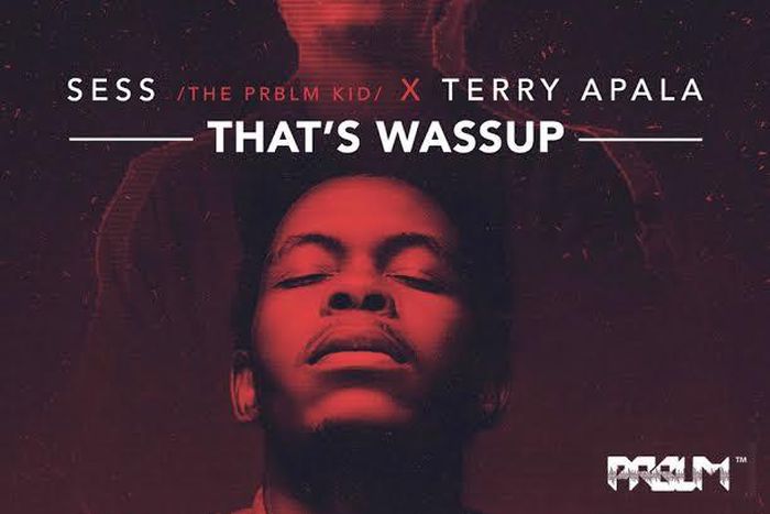 Sess featured Terry Apala on his new joint, 'That's wassup'.