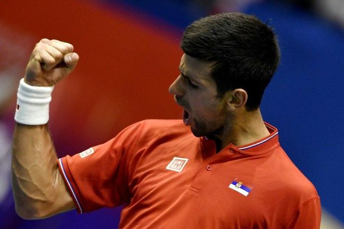 Serbia's Novak Djokovic celebrates after winning against Spain's Albert Ramos-Vinolas their Davis Cup World Group quarterfinals single match between Serbia and Spain in Belgrade, on April 7, 2017