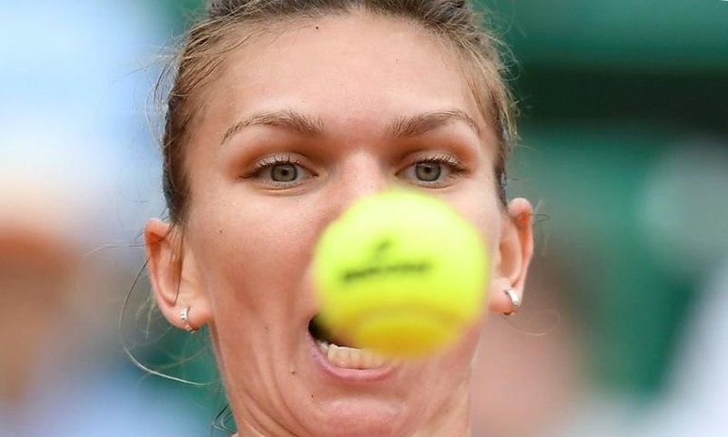 Romania's Simona Halep in action at the 2017 French Open