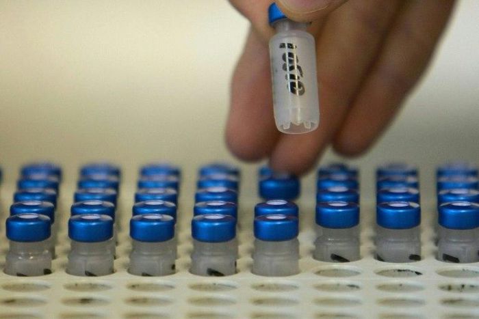 Danny O'Brien and Melbourne Cup winner Mark Kavanagh successfully overturned their multi-year bans for doping