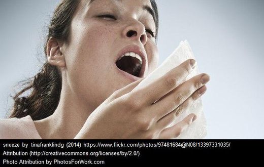 ___5273811___https:______static.pulse.com.gh___webservice___escenic___binary___5273811___2016___7___17___10___sneeze